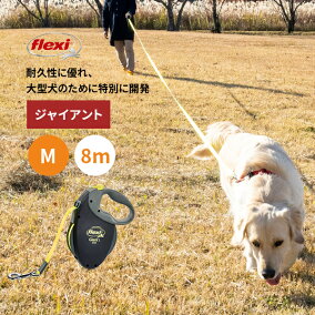 楽天市場 リード 適正犬種 パグ 人気ランキング1位 売れ筋商品 楽天市場 リード 適正犬種 パグ 人気ランキング1位 売れ筋商品
